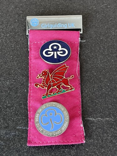 Girlguiding wales badge - uk,