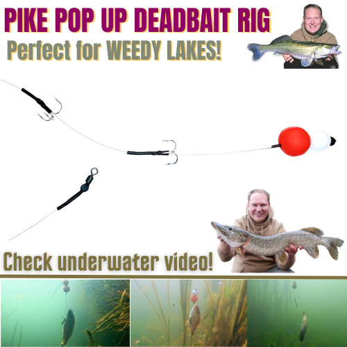 Pike pop dead bait - pop-up,