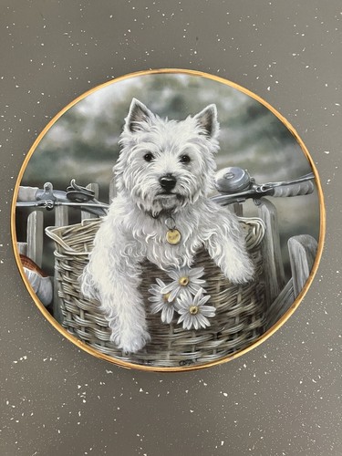 White westie dog plate - white,