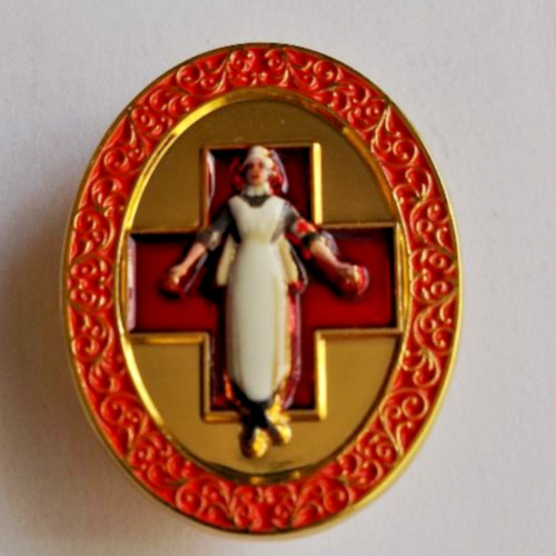 Nurse nhs enamel - nhs, pin