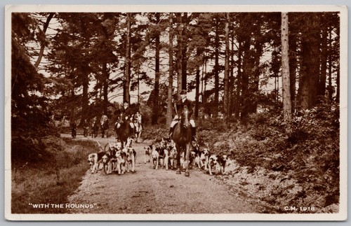 Fox hunting with the hounds - fox,