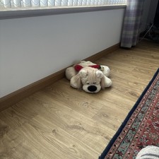 Stuff Display Christmas Lion