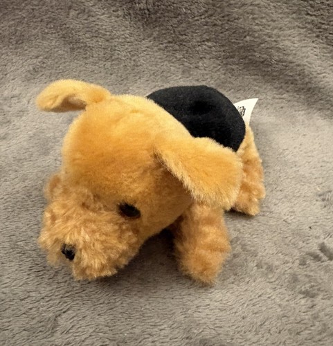 Russ petooties pets airedale - petooties,