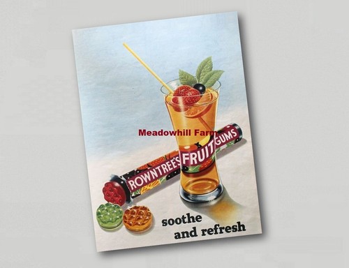 Fridge magnet rowntrees fruit - fridge,
