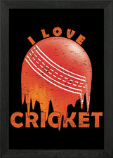 I Love Cricket Cricket Framed
