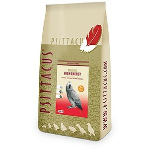 Psittacus parrot high energy - psittacus,