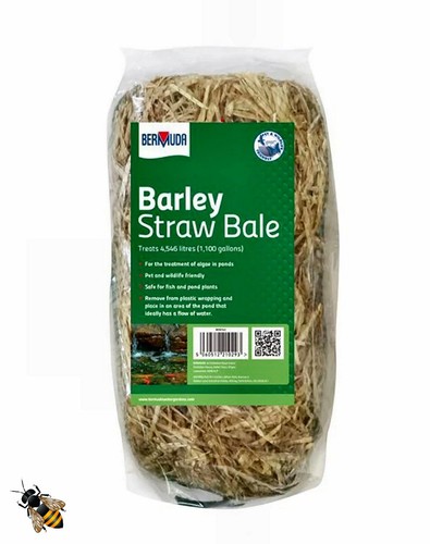 Barley straw bale - barley,