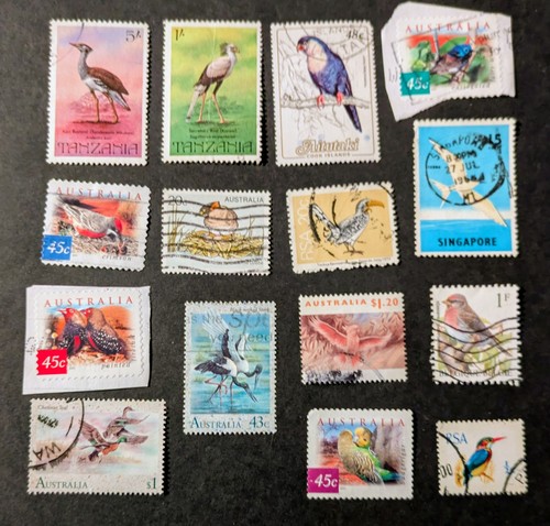 Thematic birds fine used - thematic,