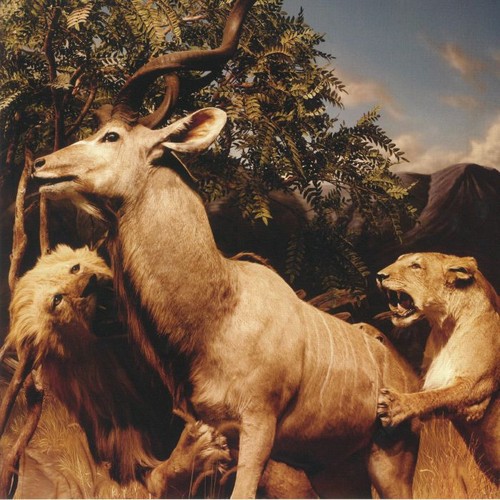 Interpol our love - -,