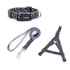 Pet harness collar lead - collar, dog