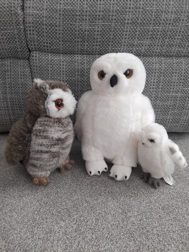 Harry potter owls - harry,