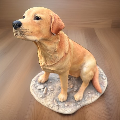 Border fine arts - fine, labrador