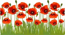 Poppy flower  vinyl sticker