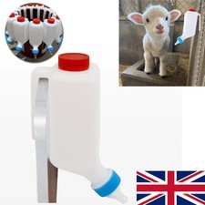 Feeding Bottle For Lambs Goat