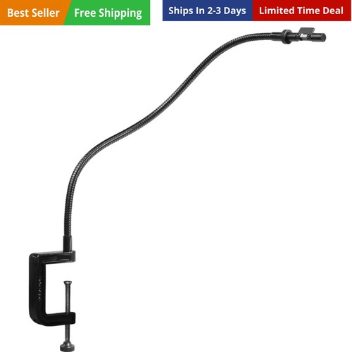The 21st century camera lucida - 21st,