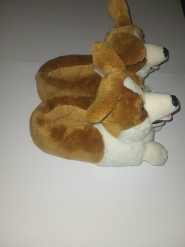 Pembroke welsh corgi dog - welsh,