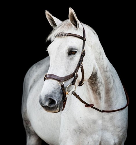 Horseware micklem multi - micklem®,