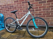 Apollo Vivid Kids 24" Mountain