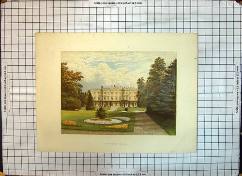 Original old antique print - original,