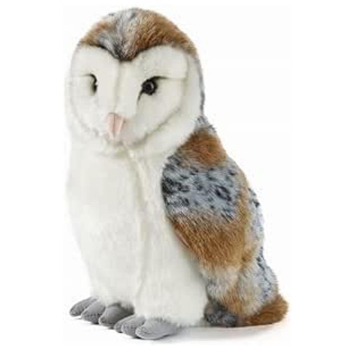 Living nature barn owl - nature,