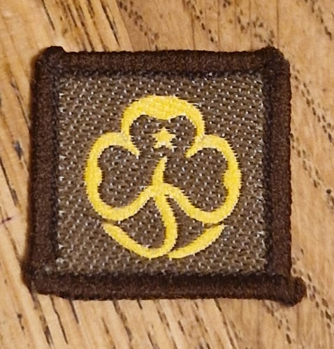 Girlguiding old brownie - old,