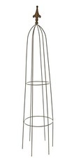 Metal Garden Obelisk Climbing