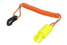 Ignition kill switch WSM