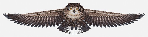 Cross stitch kit luca - stitch,
