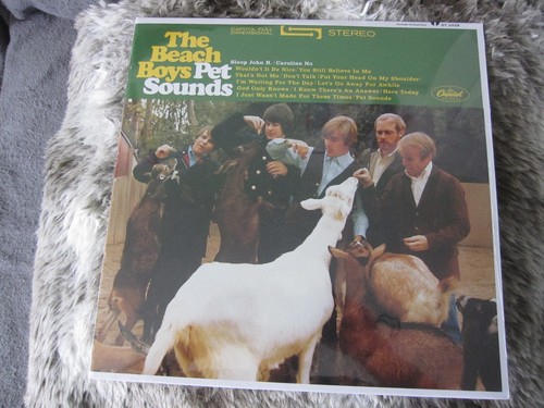 The beach boys pet - the,