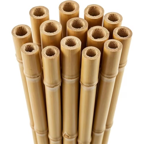 Bamboo garden canes - bamboo, strong