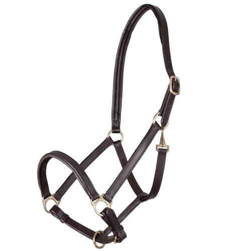 Shires velociti gara - velociti,