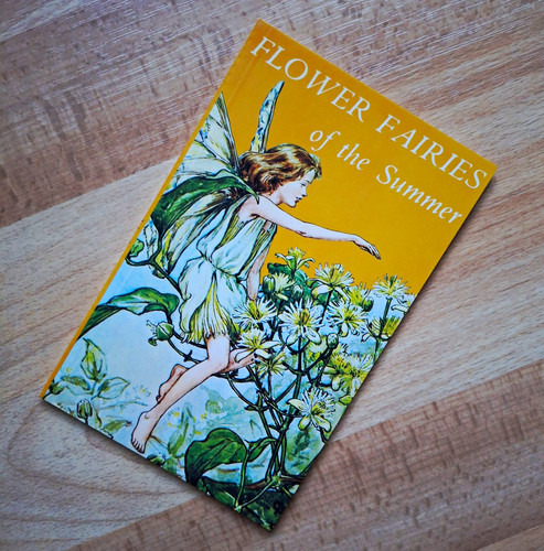 Flower fairies the summer - the,