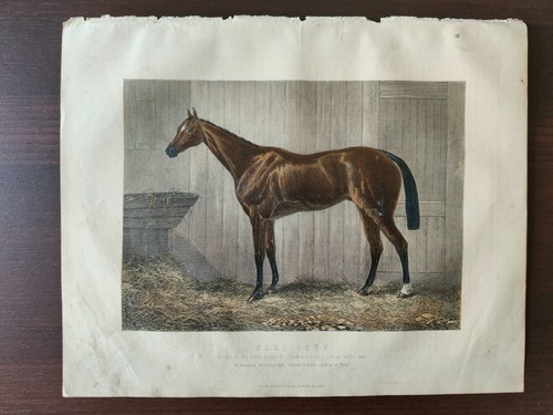 Antique original hand colour - original,