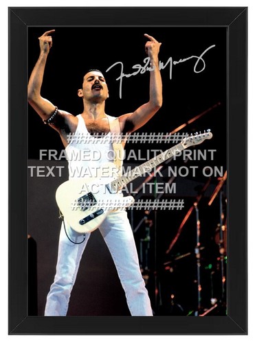 Freddie mercury signed photo - freddie,
