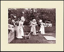 SKYE TERRIER EDWARDIAN LADIES