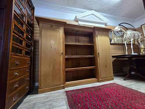 Antique european pine cupboard - antique,