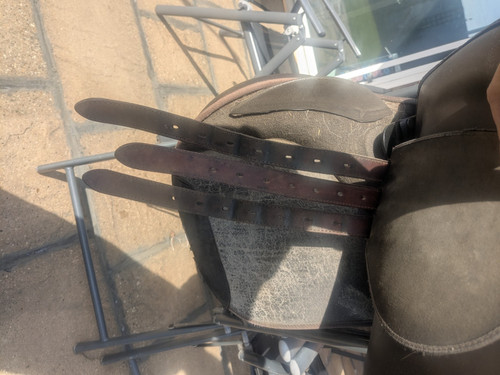 Black wintec - 17.5,