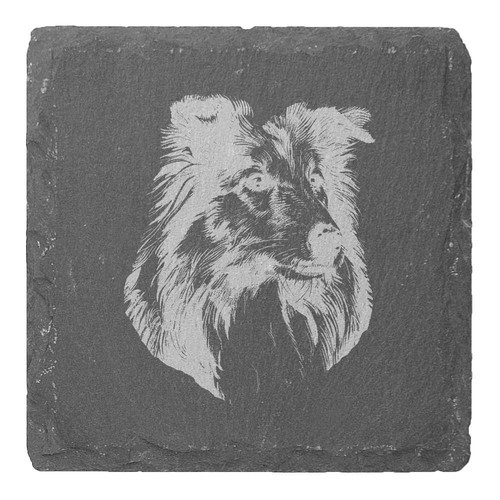 Shetland sheepdog slate - sheepdog',