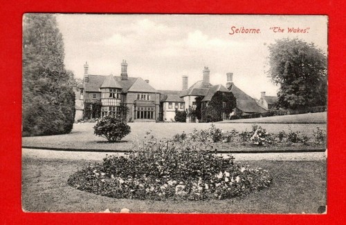 251501 postcard selborne - postcard,