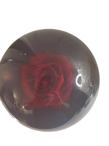 Vintage kingpin clear - kr, red