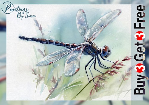 Dragonfly wild grass - grass, 5"x7"