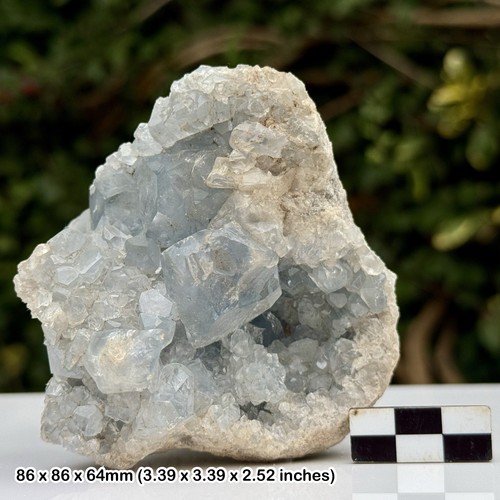 Celestine geode crystal - celestine, brazil