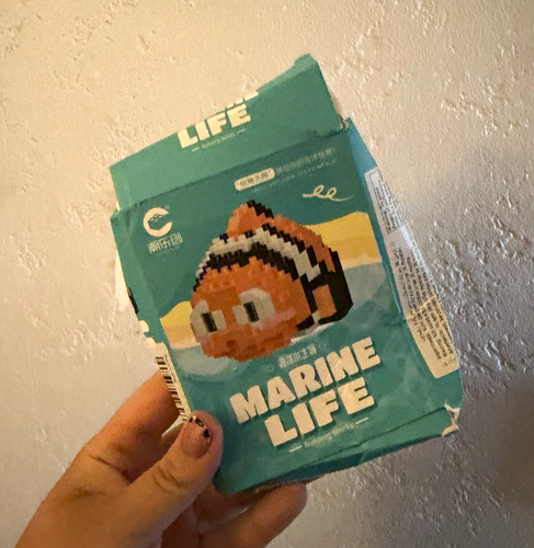 Marine life clownfish building - life,