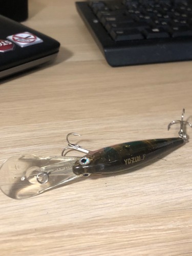 Zuri crystal minnow - minnow, deep
