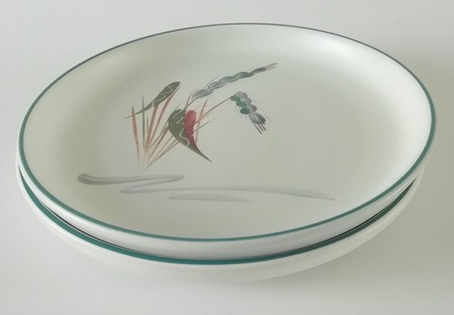 Denby greenwheat tea - tea, plates