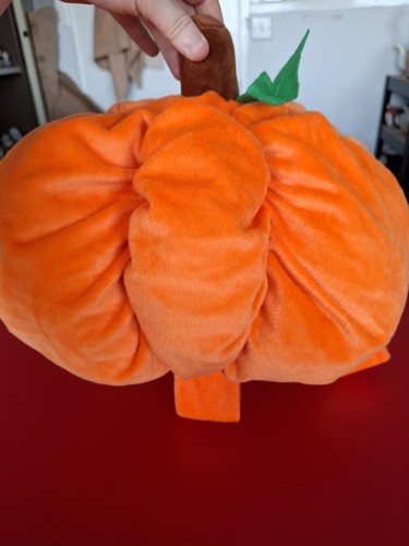 Pets home orange - at,
