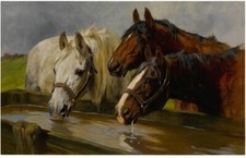 The Temperance Society Horses