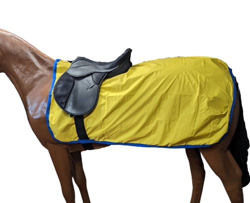 Pony exercise sheet yellow - pony,