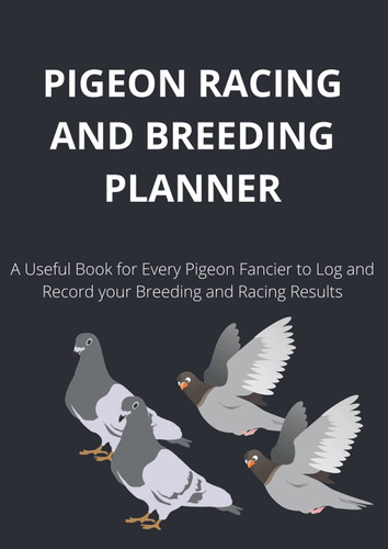 Pigeon racing and breeding - pigeon,