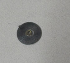 WALTHAM 12 SZ POCKET WATCH HAIRSPRING  #8169  --------WELCH 11